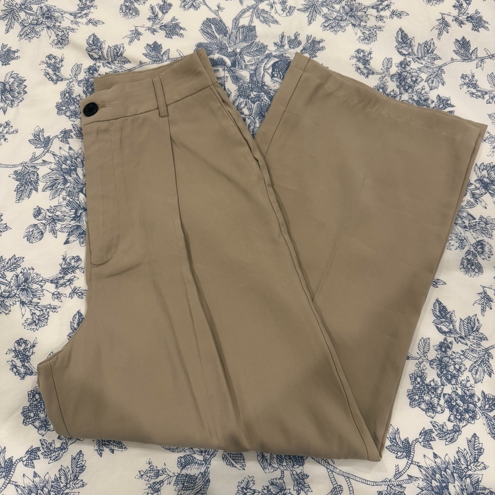 Zara Pleated Women Trousers in Tan